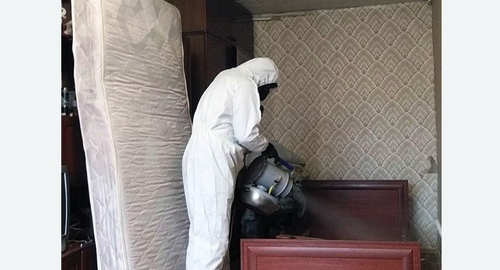 Дезинфекция от клопов в Лосино-Петровском